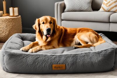 Canine Comfort: The Science Behind Big Barker Orthopedic Beds